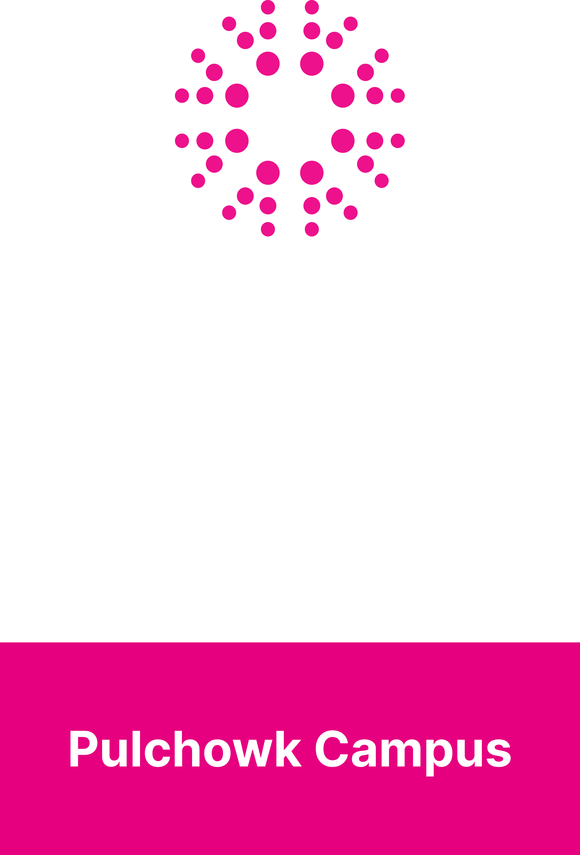 Hult Prize logo